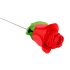 Pantijrozā - stringbiksītes rožu ziedā - sarkans (S-L)