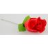 Pantijrozā - stringbiksītes rožu ziedā - sarkans (S-L)