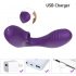 Tracy's Dog 2 - radioris, gaisa viļņus 2in1 vibrators (violets) 