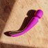 LELO Smart Wand 2 - vidējs akumulatora masāžas vibrators (violets) 